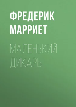 Маленький дикарь, аудиокнига Фредерика Марриета. ISDN63509116