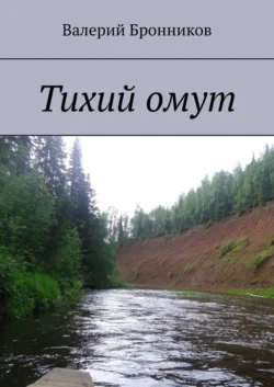 Тихий омут, audiobook Валерия Бронникова. ISDN63523426