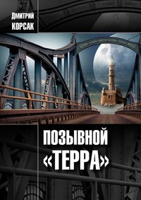 Позывной «Терра», аудиокнига Дмитрия Корсака. ISDN63523742