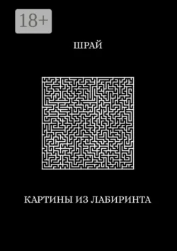 Картины из лабиринта - Шрай