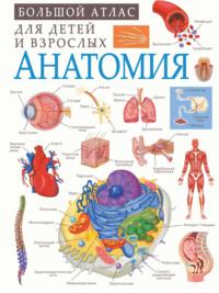 Анатомия, audiobook Анны Спектор. ISDN63676116