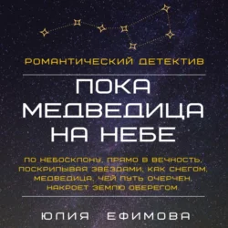 Пока медведица на небе - Юлия Ефимова