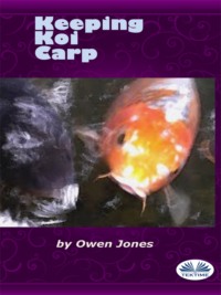Keeping Koi Carp, Owen Jones audiobook. ISDN63808451