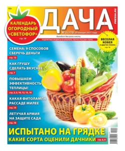 Дача Pressa.ru 02-2021 - Редакция газеты Дача Pressa.ru