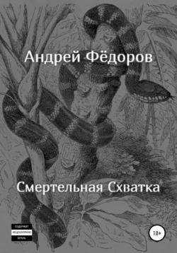 Смертельная схватка - Андрей Фёдоров