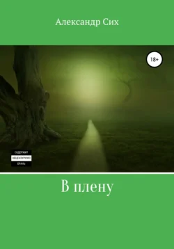 В плену, аудиокнига Александра Станиславовича Сиха. ISDN64027517