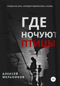 Где ночуют птицы, аудиокнига Алексея Романовича Мельникова. ISDN64143738