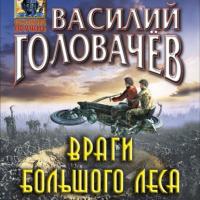 Враги большого леса, audiobook Василия Головачева. ISDN64360927