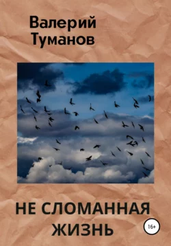 Не сломанная жизнь - Валерий Туманов