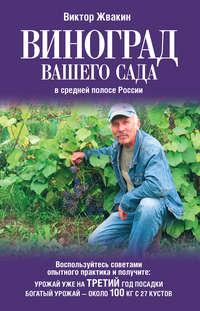Виноград вашего сада в средней полосе России, аудиокнига Виктора Жвакина. ISDN6449053