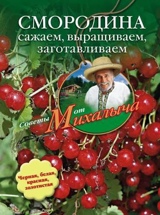 Смородина. Сажаем, выращиваем, заготавливаем, audiobook Николая Звонарева. ISDN646885
