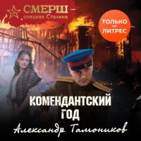 Комендантский год, audiobook Александра Тамоникова. ISDN64728677