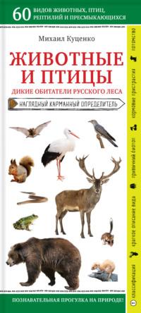 Животные и птицы. Дикие обитатели русского леса - Михаил Куценко