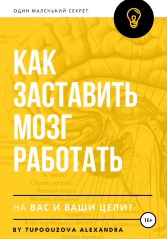 Как заставить мозг работать на вас и ваши цели, аудиокнига Александры Тупогузовой. ISDN65057496