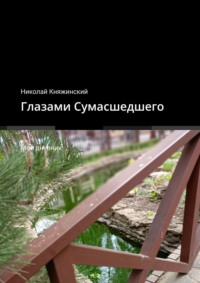 Глазами Сумасшедшего. Мой дневник, audiobook Николая Княжинского. ISDN65058932