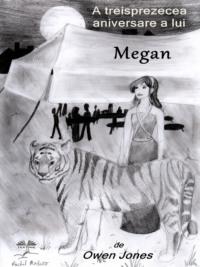 A Treisprezecea Aniversare A Lui Megan, Owen Jones audiobook. ISDN65164721