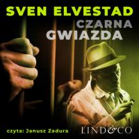 Czarna Gwiazda, Sven Elvestad audiobook. ISDN65852217
