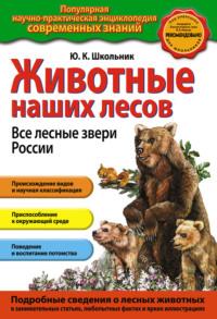 Животные наших лесов. Все лесные звери России - Юлия Школьник