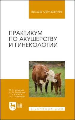 Практикум по акушерству и гинекологии. Учебное пособие для вузов - Минереис Багманов