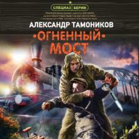 Огненный мост - Александр Тамоников