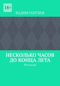 Несколько часов до конца лета. Рассказы, аудиокнига Вадима Голубева. ISDN66108120