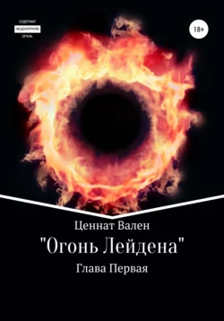 Огонь Лейдена. Глава первая - Омар Идрисов