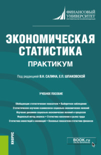 Экономическая статистика. Практикум. (Бакалавриат). Учебное пособие - Эльвира Чурилова