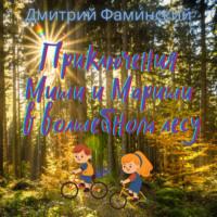 Приключения Миши и Мариши в волшебном лесу, аудиокнига Дмитрия Фаминского. ISDN66367946