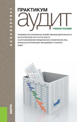 Аудит. Практикум. (Аспирантура, Бакалавриат, Магистратура). Учебное пособие. - Галина Юдина