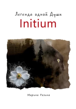 Initium. Легенда одной Души - Марина Разина