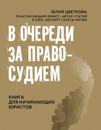 В очереди за правосудием, аудиокнига Юлии Цветковой. ISDN66447824