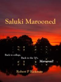 Saluki Marooned - Robert Rickman