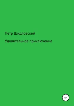 Удивительное приключение - Петр Шидловский