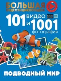 Подводный мир. 101 видео и 1001 фотография, аудиокнига Е. О. Хомича. ISDN66564494