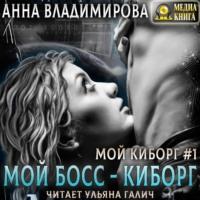 Мой босс – киборг, аудиокнига Анны Владимировой. ISDN66591168