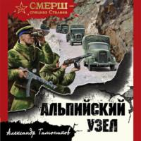 Альпийский узел, audiobook Александра Тамоникова. ISDN66608270