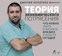 Теория экономического потрясения. Что нужно знать о бизнесе, кризисе и власти сегодня, audiobook Дмитрия Потапенко. ISDN66612342