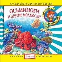 Осьминоги и другие моллюски - Kolleksiya
