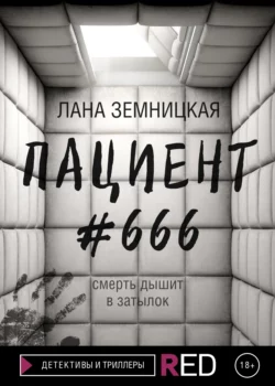 Пациент #666, аудиокнига Ланы Земницкой. ISDN66635008