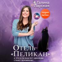 Отель «Пеликан», książka audio Галины Ларской. ISDN66662966