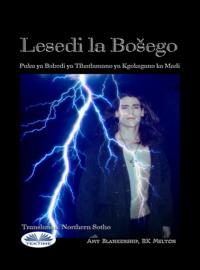 Lesedi La Bošego, Amy Blankenship audiobook. ISDN66740998