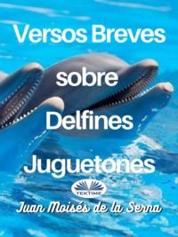 Versos Breves Sobre Delfines Juguetones, Juan Moises De La Serna Hörbuch. ISDN66741158