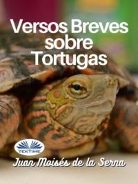 Versos Breves Sobre Tortugas, Juan Moises De La Serna książka audio. ISDN66741213