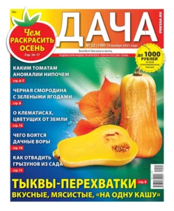 Дача Pressa.ru 22-2021 - Редакция газеты Дача Pressa.ru