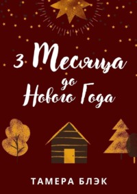 3 месяца до Нового года, аудиокнига Тамеры Блэк. ISDN66844635