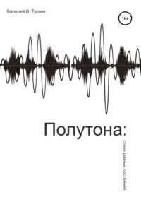 Полутона: стихи разных состояний, аудиокнига Валерия Владимировича Туркина. ISDN66856938