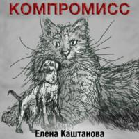 Компромисс, audiobook Елены Каштановой. ISDN66876988