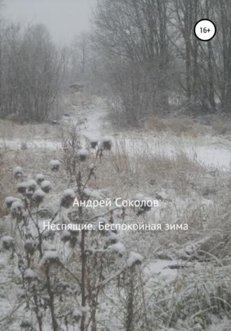 Неспящие. Беспокойная зима, аудиокнига Андрея Николаевича Соколова. ISDN66910918