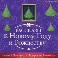 Подарок на Новый Год, audiobook Евгения ЧеширКо. ISDN66978973