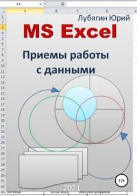 MS Excel. Приемы работы с данными, książka audio Юрия Николаевича Лубягина. ISDN66981378